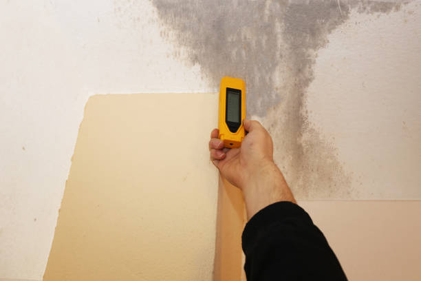 Best Dehumidification Services  in Westchester, FL