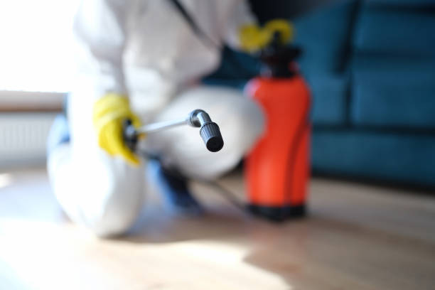 Mold Documentation for Insurance Claims in Westchester, FL
