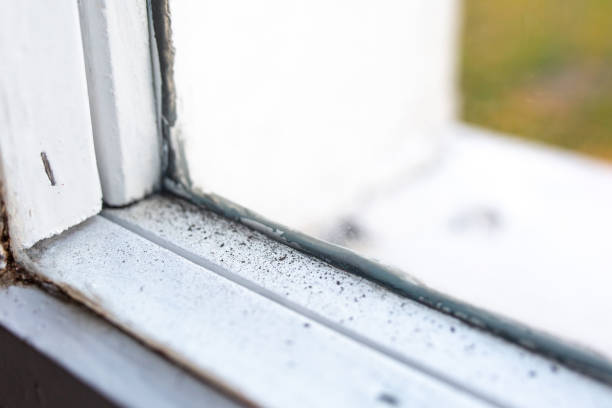 Best Commercial Mold Inspection  in Westchester, FL