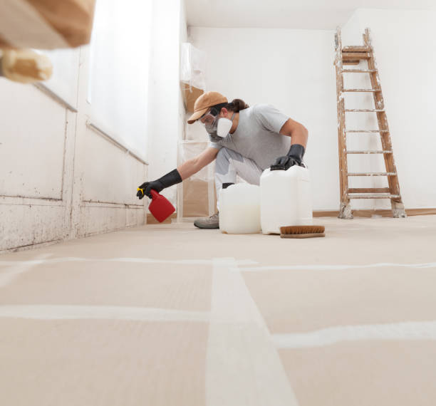 Best Forensic Mold Investigation  in Westchester, FL