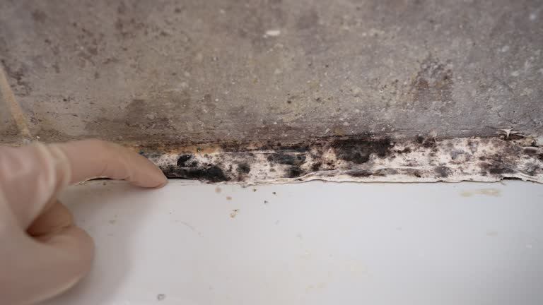 Best Indoor Air Quality Assessment  in Westchester, FL