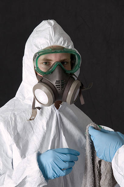 Best Emergency Mold Remediation  in Westchester, FL